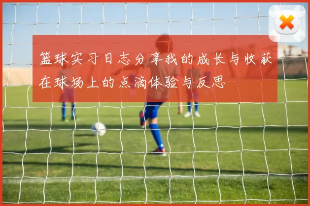 篮球实习日志分享我的成长与收获在球场上的点滴体验与反思