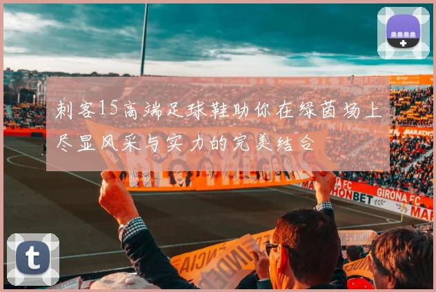 刺客15高端足球鞋助你在绿茵场上尽显风采与实力的完美结合