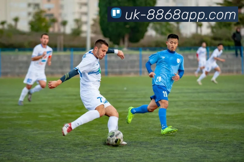 App Interface Preview