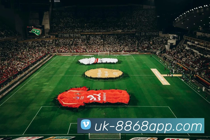 8868体育APP 封面图